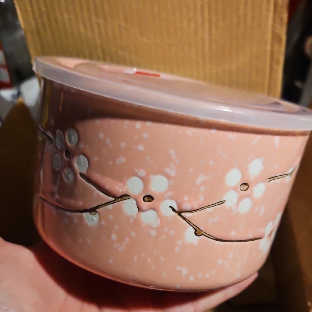 Pink Noodle Bowl With Handle. Plastic Lid with Sealable Steam Hole. Never Used